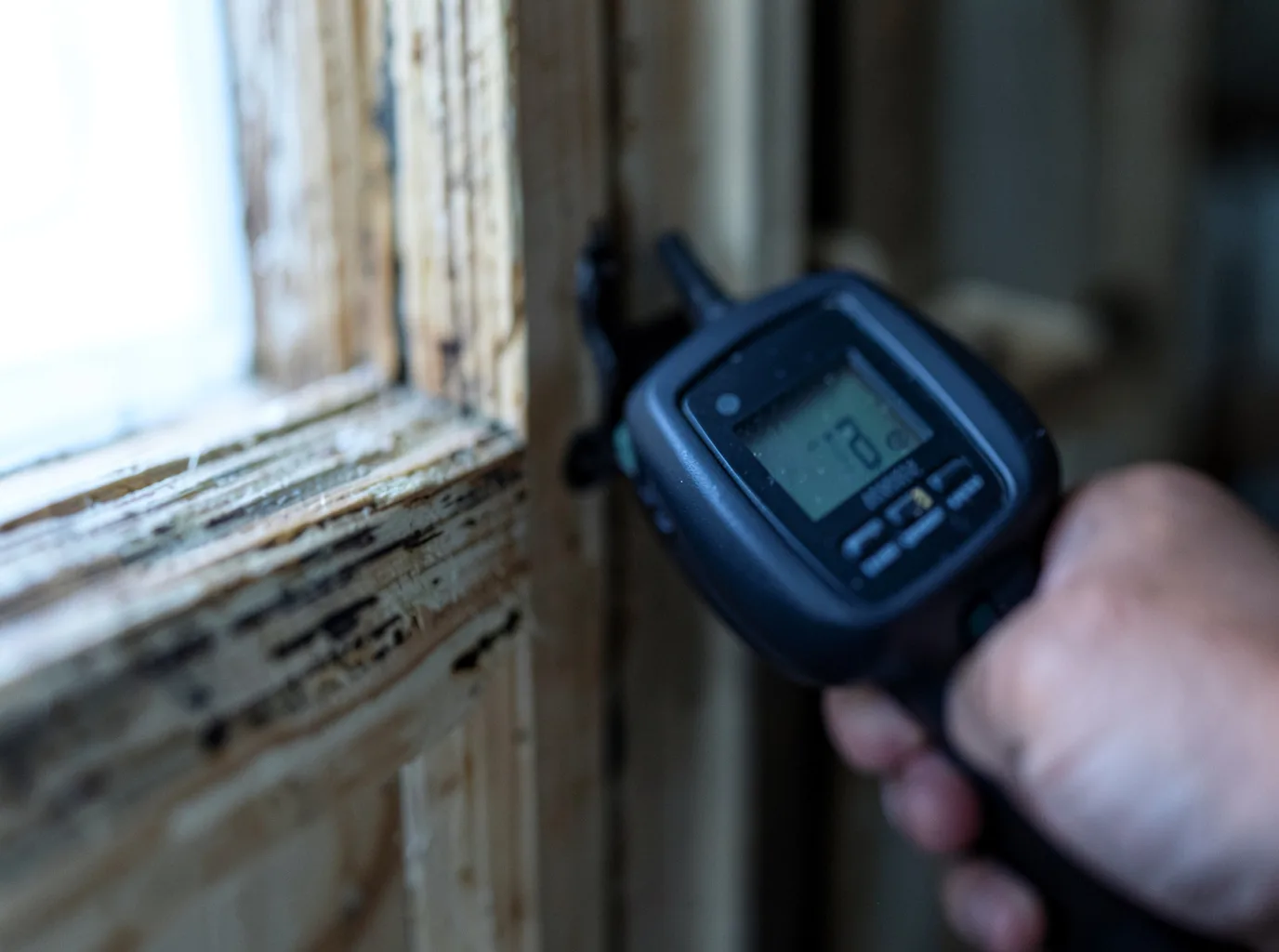 Moisture Inspection And Documentation in De Beque, CO